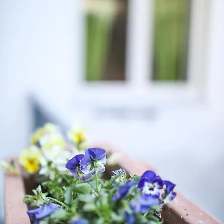 Maison d'hôtes Il Vicoletto Di Santa Lucia Naples