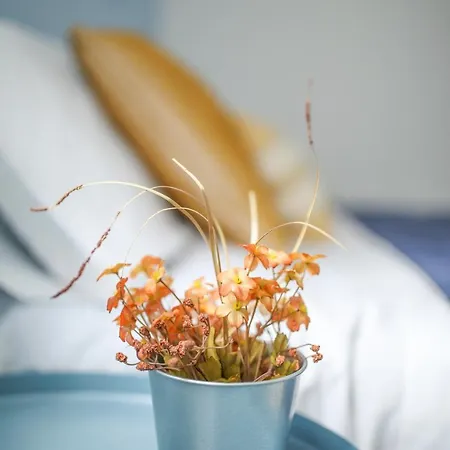 Il Vicoletto Di Santa Lucia Naples